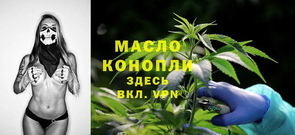 гашик Дмитриев