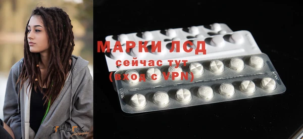 тгк Дмитров