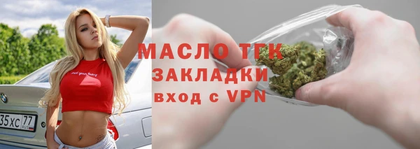 тгк Дмитров