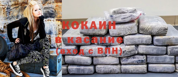 гашик Дмитриев
