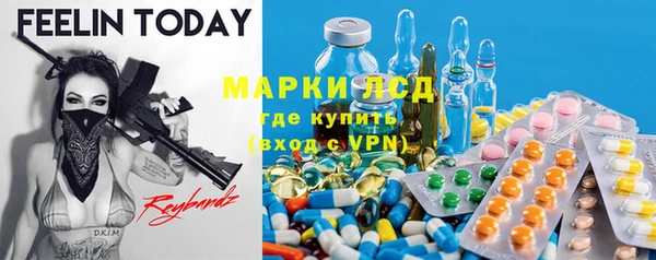 гашик Дмитриев