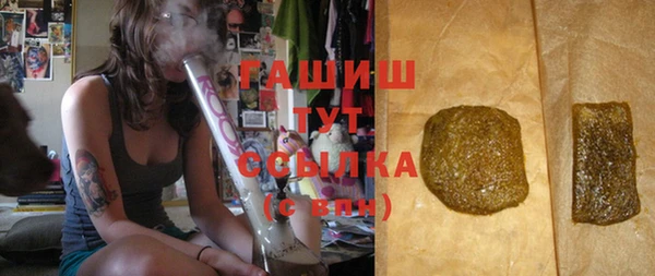 гашик Дмитриев