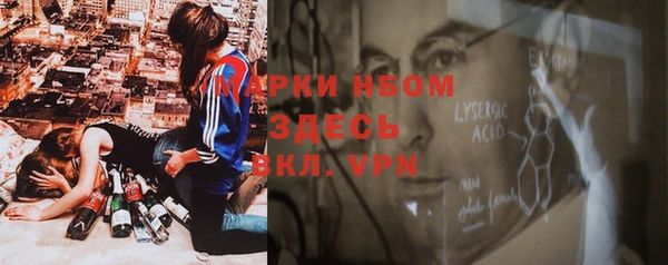 прущие грибы Дмитровск