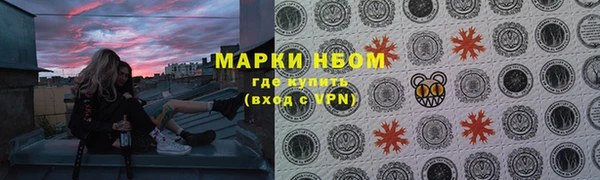 прущие грибы Дмитровск
