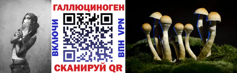Псилоцибиновые грибы прущие грибы  Купить где  Шацк 